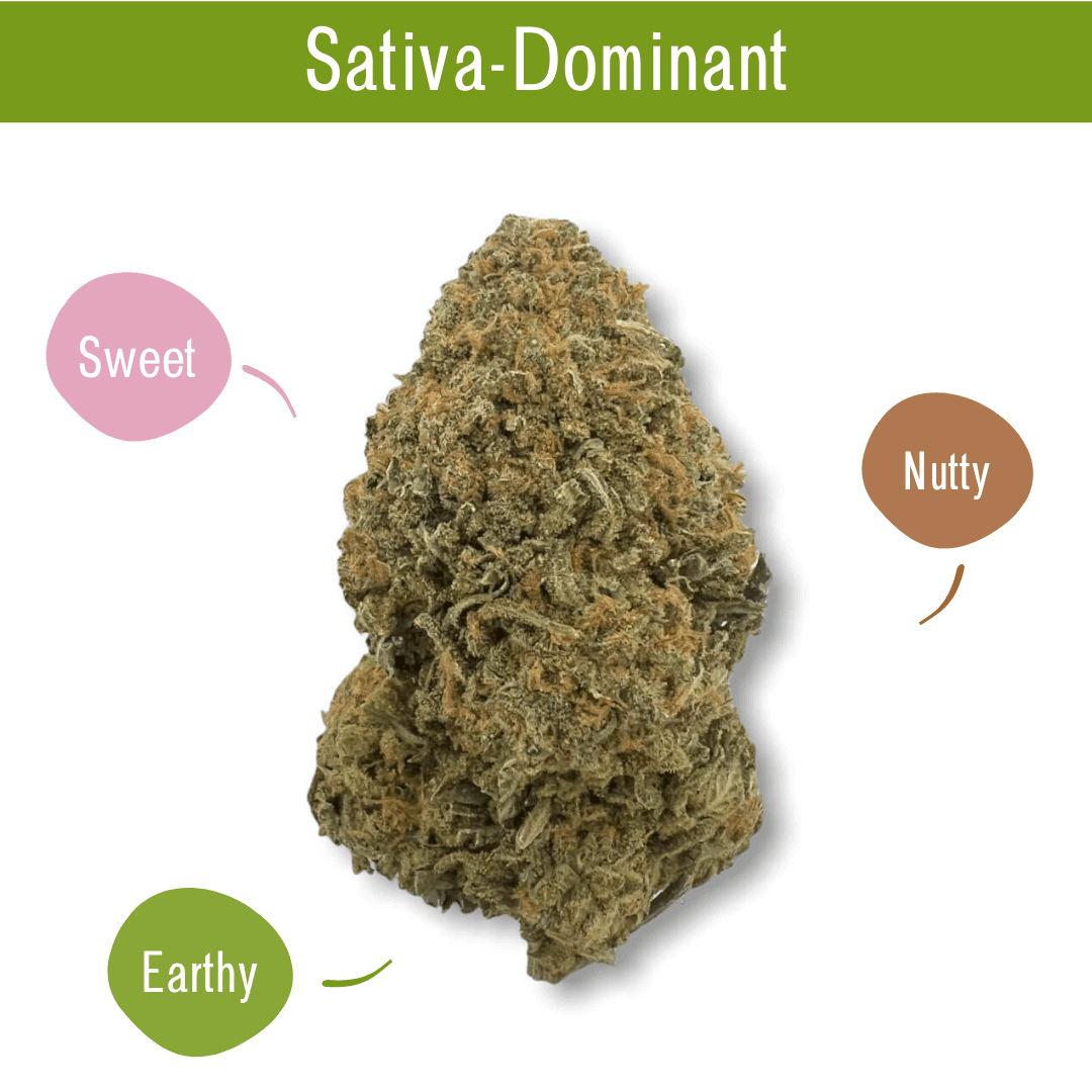 Blue Dream AAA - $50 ounce deal