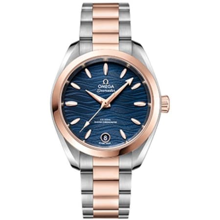 Omega Seamaster Aqua Terra Watch