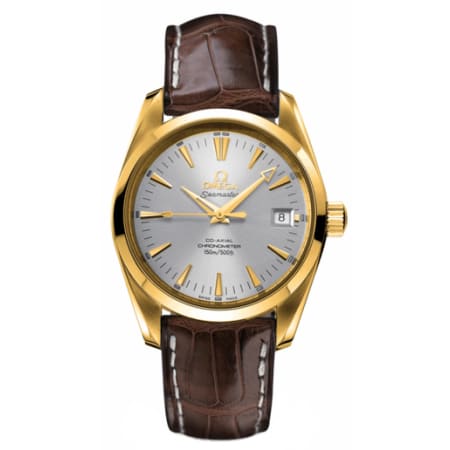 Omega Seamaster Aqua Terra Watch