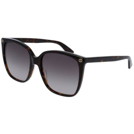 Gucci Dark Havana Square Women's Sunglasses GG0022S-003