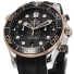 Omega Seamaster Watch, image 2