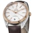 Omega Seamaster Aqua Terra Watch, image 3