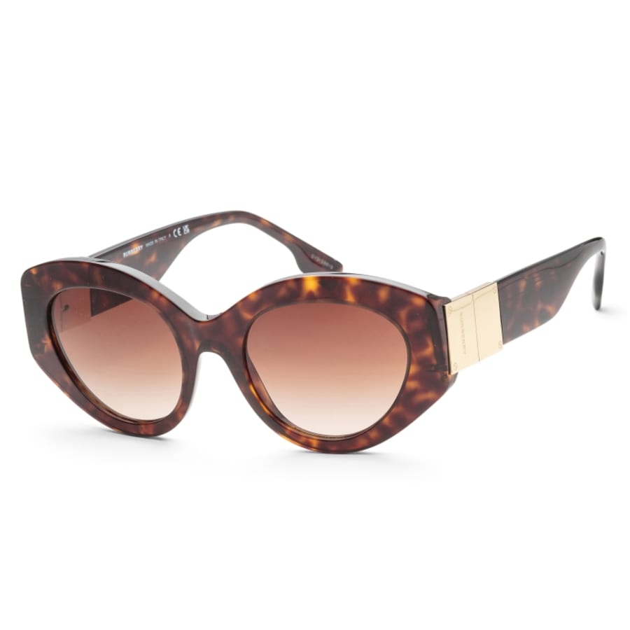 Burberry Sophia Women's Sunglasses BE436130021351
