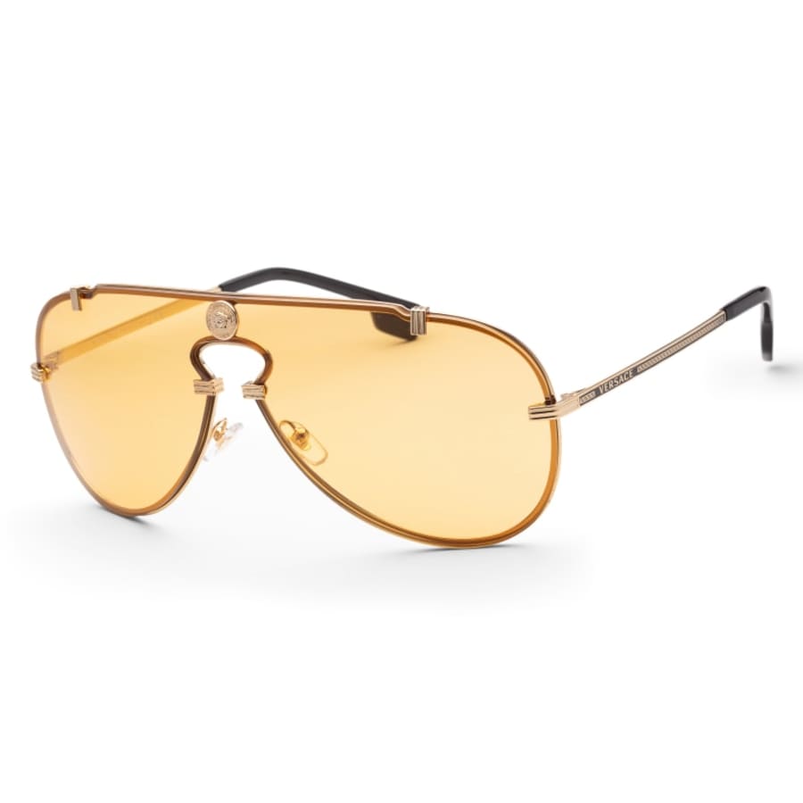 Versace Fashion Men's Sunglasses VE2243100285