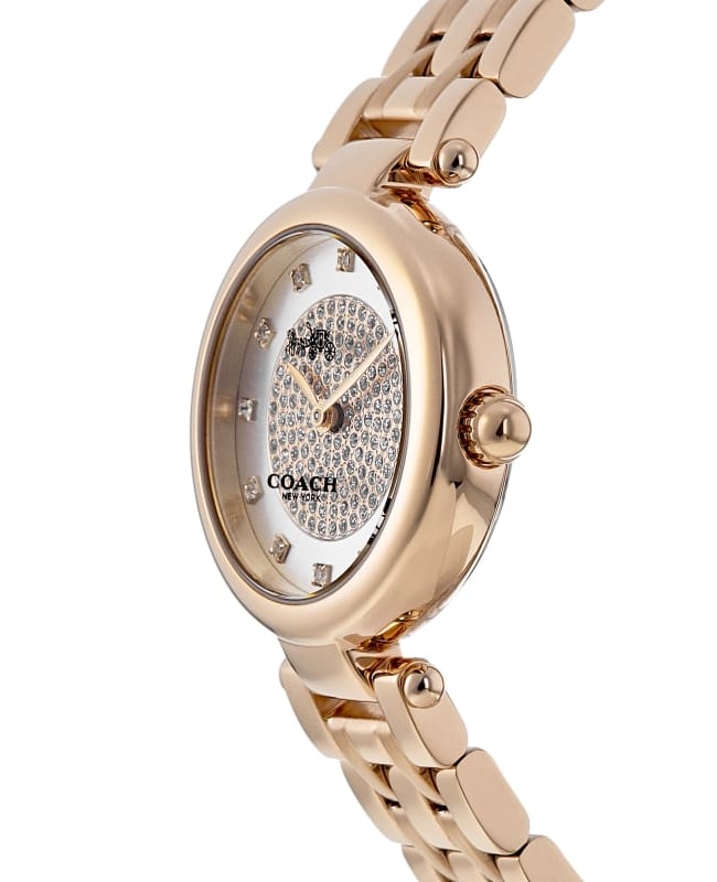 Coach Park Women's Watch 14503736 | WatchMaxx