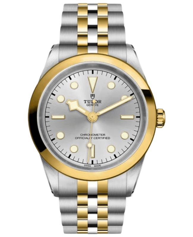 Tudor Black Bay 41 Automatic Silver Dial Yellow Gold Capped Steel Men's Watch M79683-0002