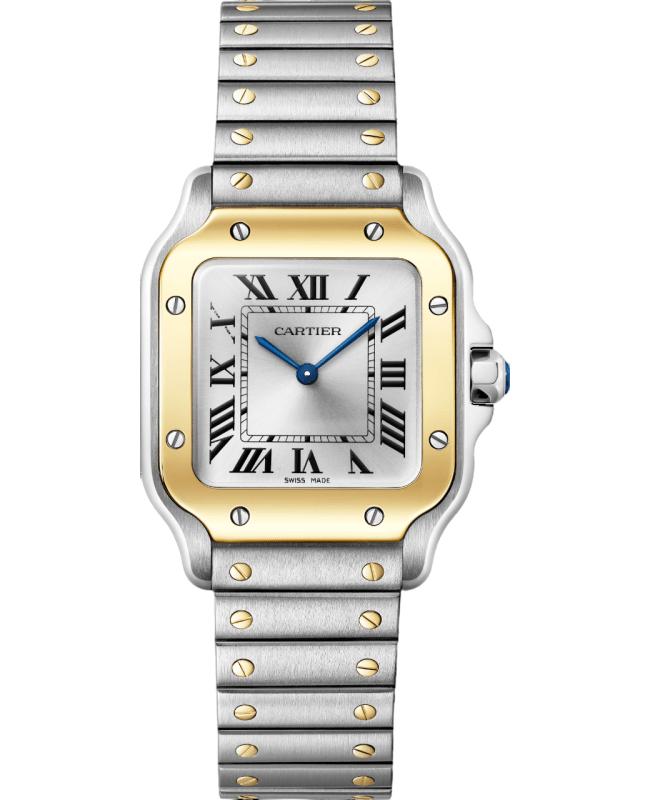Cartier Santos De Cartier Women's Watch WSSA0033 | WatchMaxx