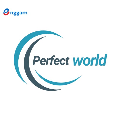 Perfect World