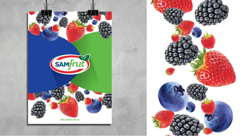 Proyecto para Samfrut