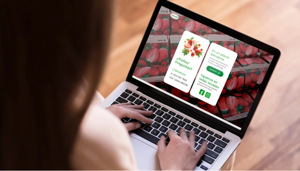 Proyecto para Fresam