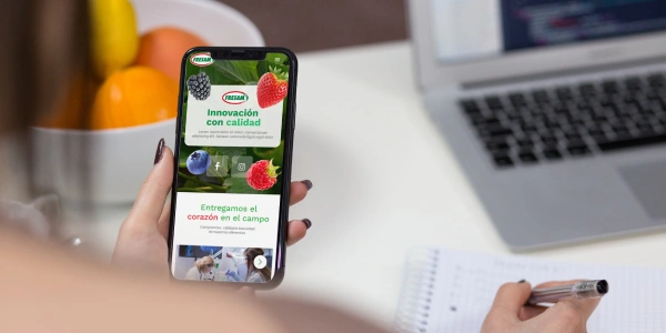 Proyecto para Fresam