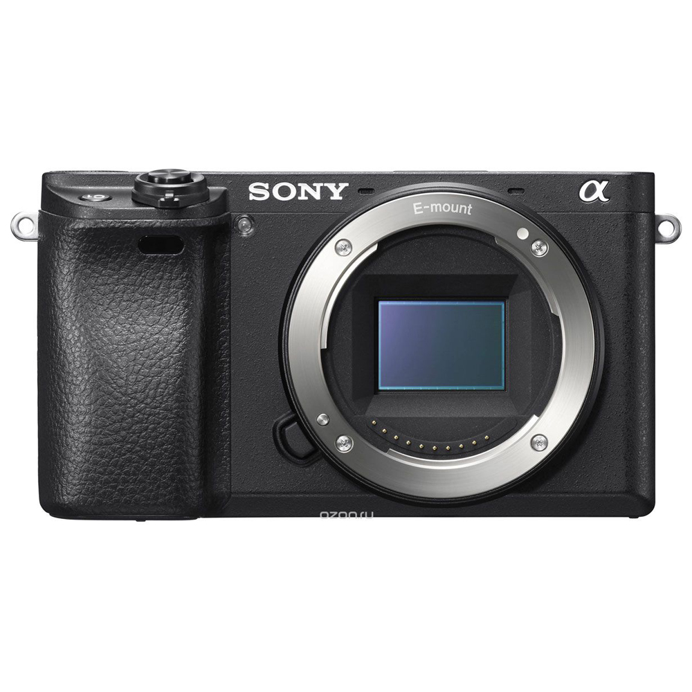 Sony alpha body