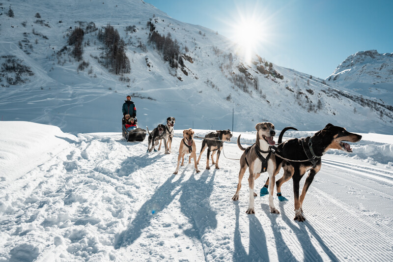 Husky sleigh ride in Val d’Isère