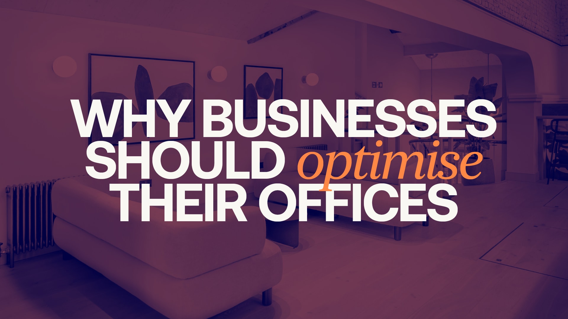 Workplace consultancy: why businesses should optimise their office