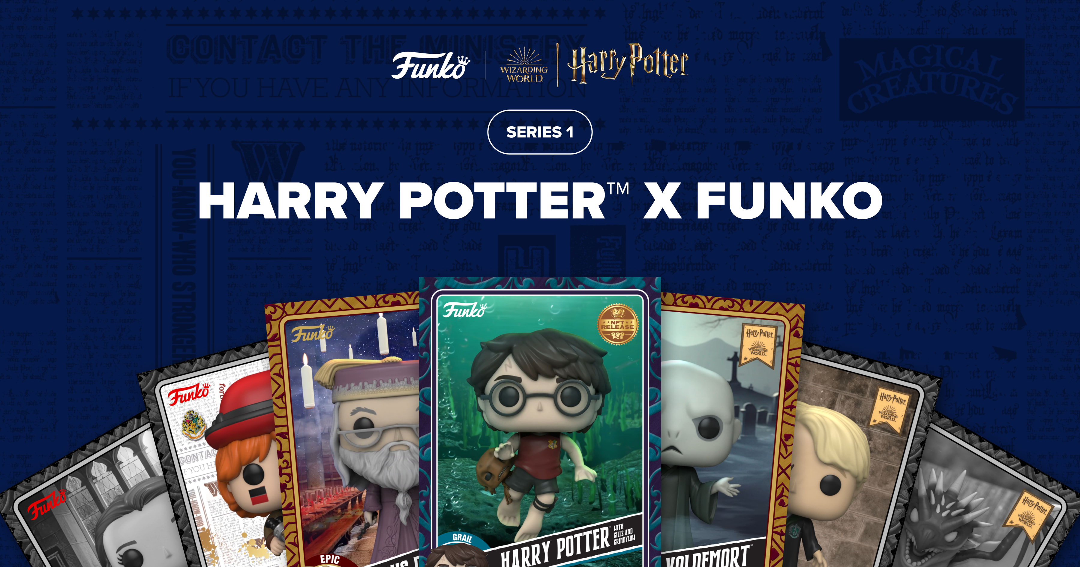 Harry Potter™ x Funko Series 1 - Droppp