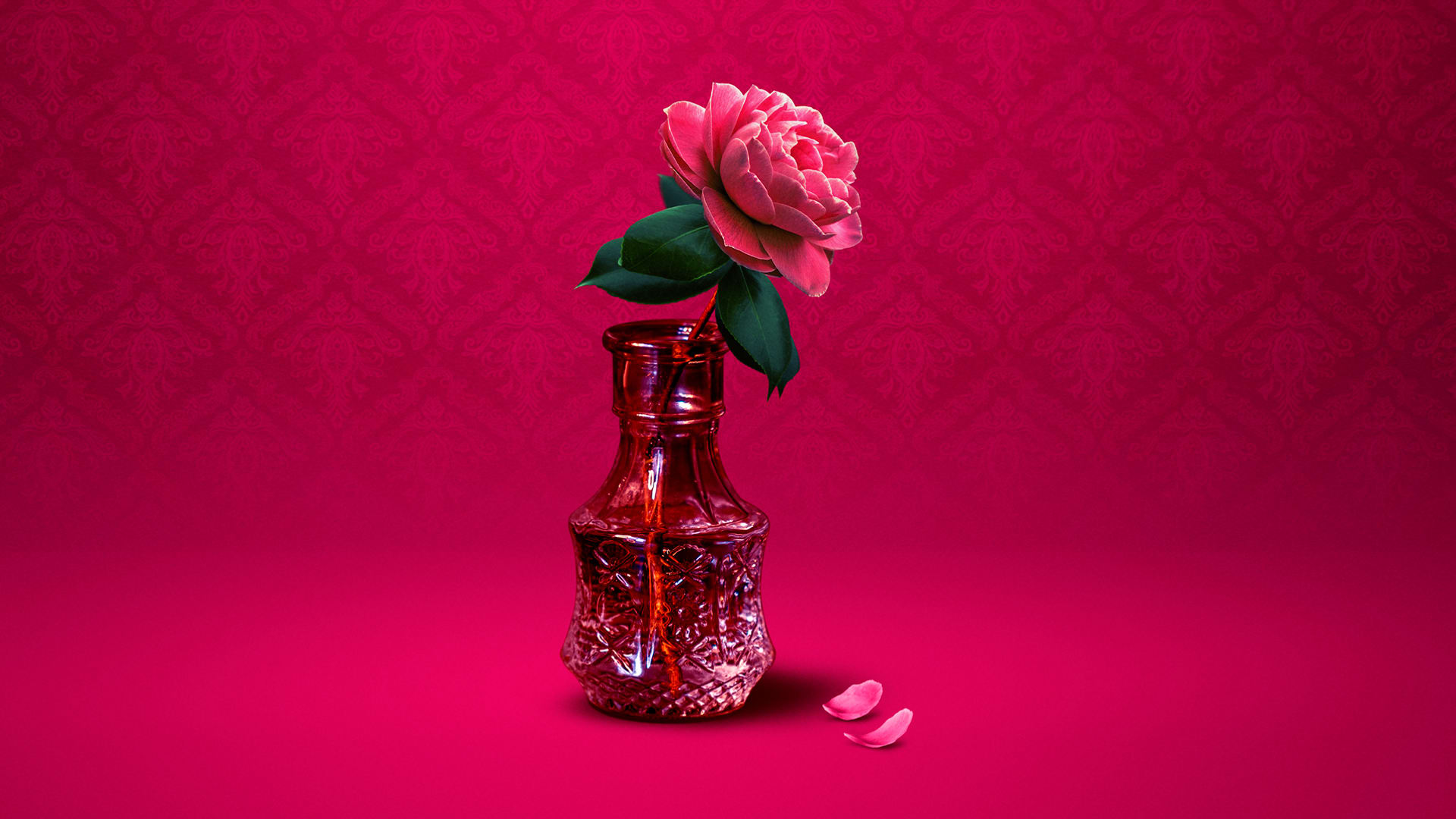 La Traviata concert image