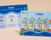 12 Tides mailer flyer card