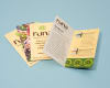 half fold brochure