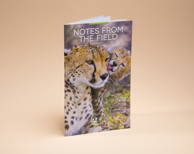 Saddle-stitched booklet with cheetahs on cover 