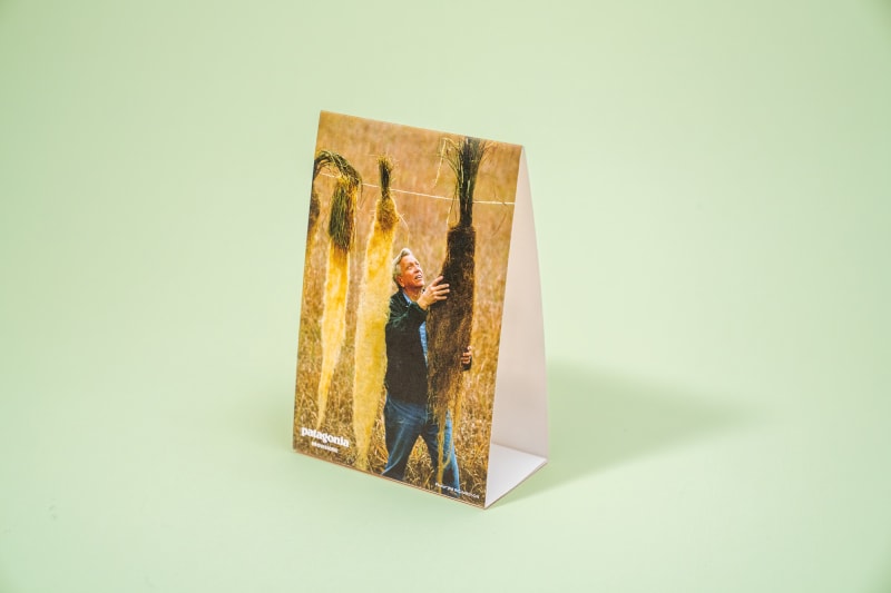 Patagonia table tent card