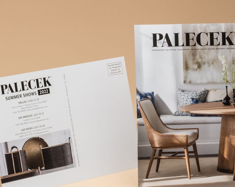 Palecek postcard flyer mailer