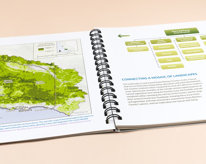 Wire-o booklet opened flat