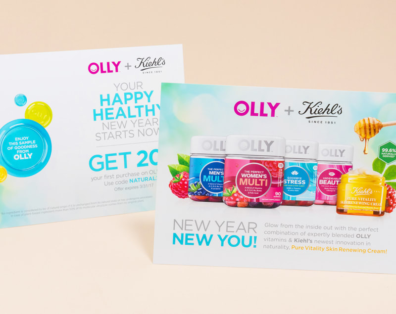 Olly sell sheet flat card