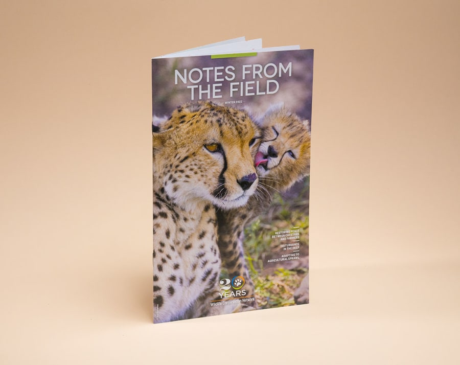 Direct Mail Booklets