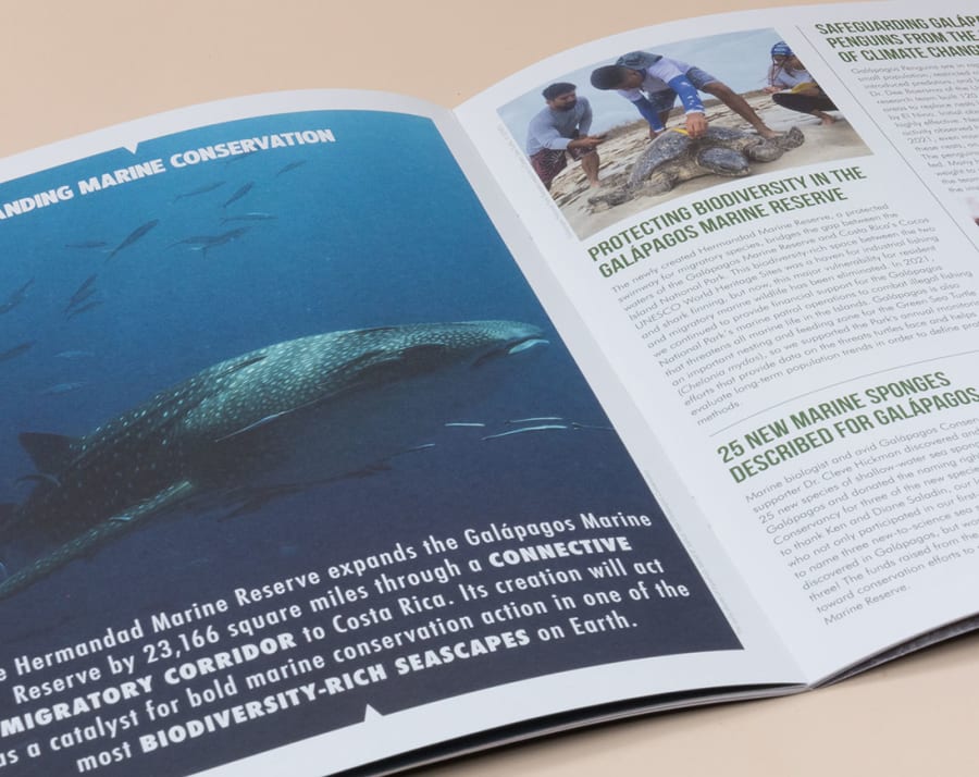 Saddle stitched newsletter booklet