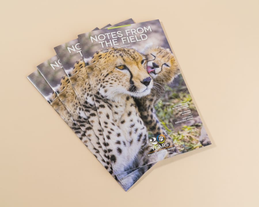 Custom Magazine — photo 4