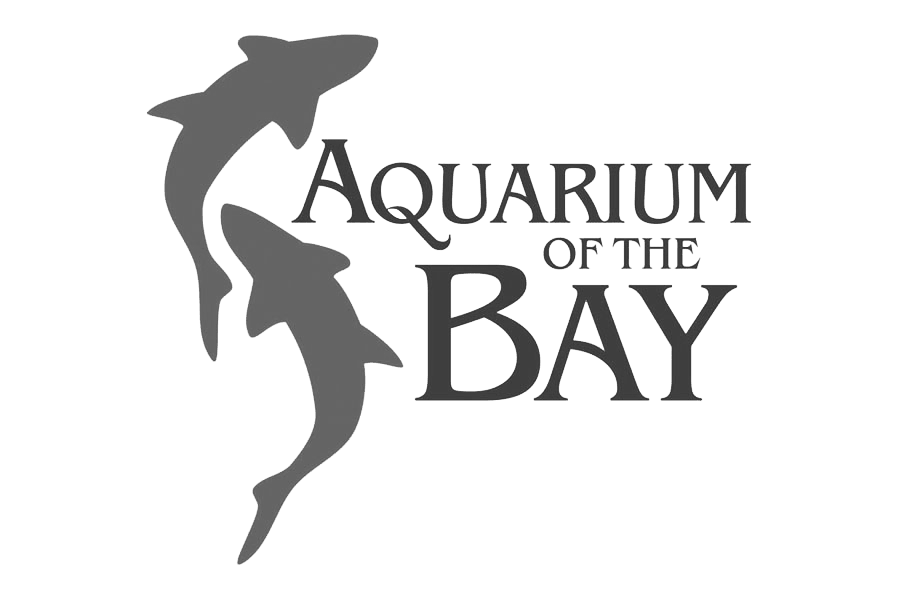 aqua bay