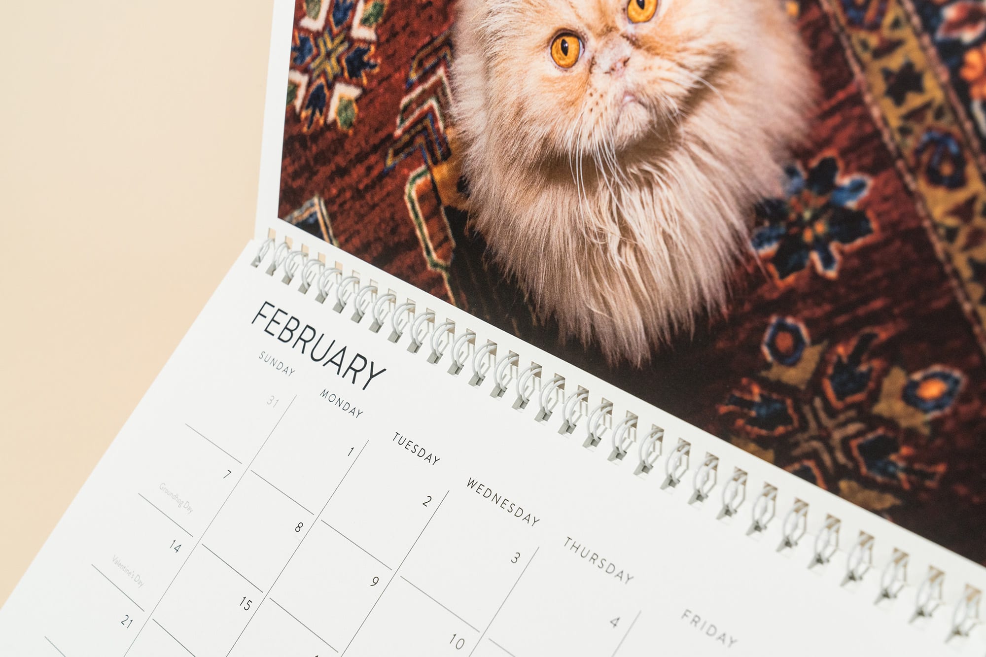 Custom Spiral Bound Calendar Printing Greenerprinter