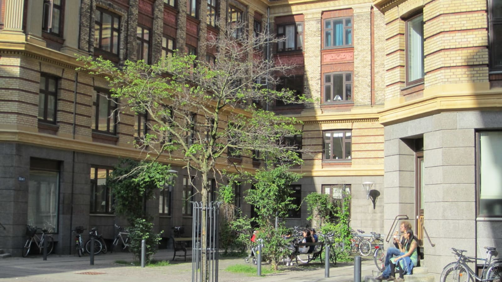 residential street with for sale signs (file image)