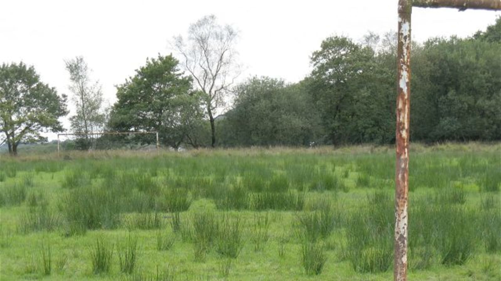 empty football stadium penalty box and goalpost (file image)