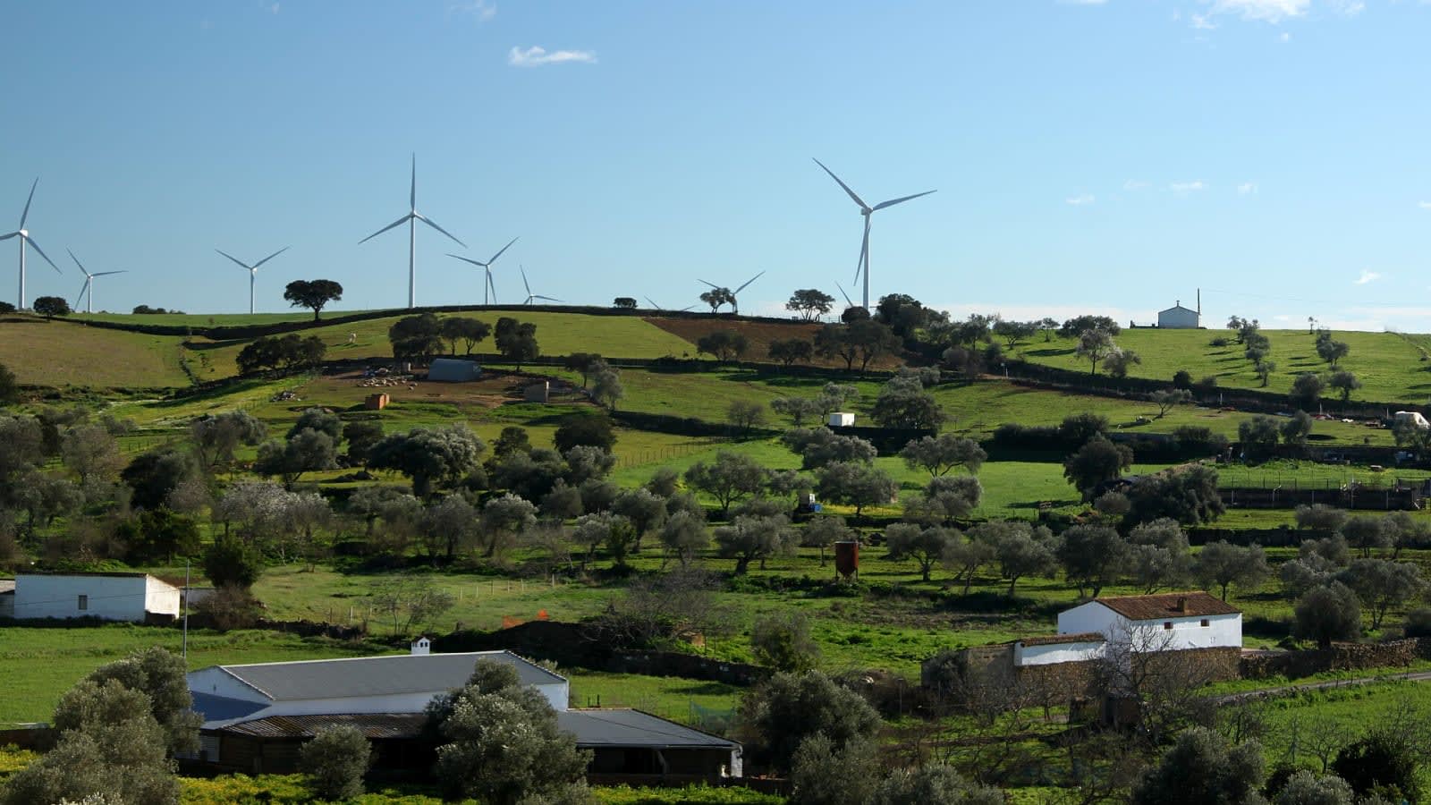 wind turbines on a green hillside (file image)