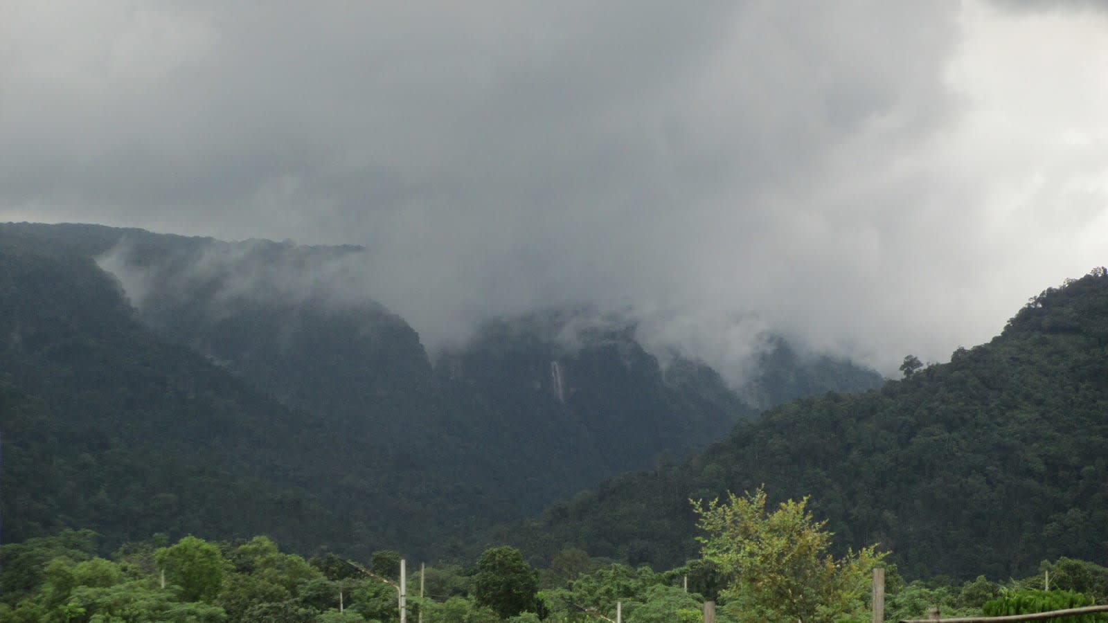 misty green mountain cloud forest (file image)