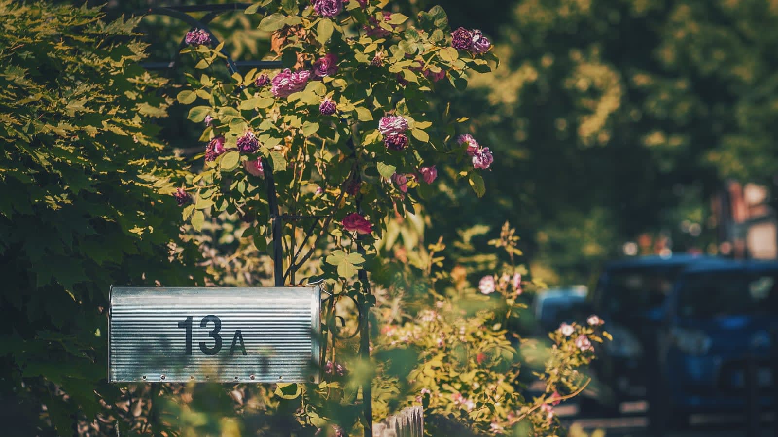 rows of suburban residential mailboxes (file image)