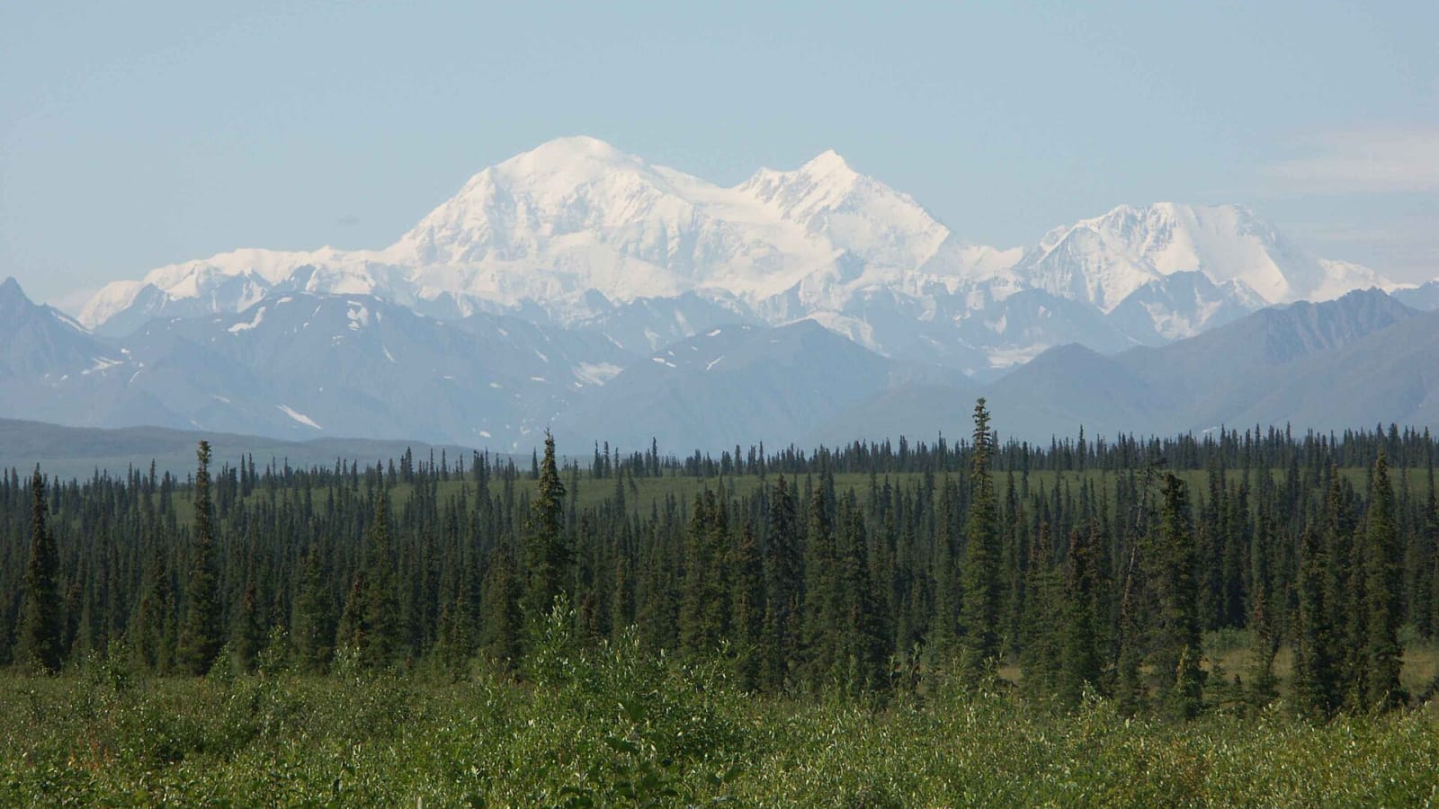mountain landscape with forest and wildlife (file image)
