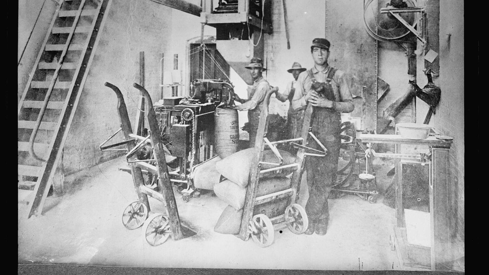sacks of sugar stacked inside a distribution warehouse (file image)