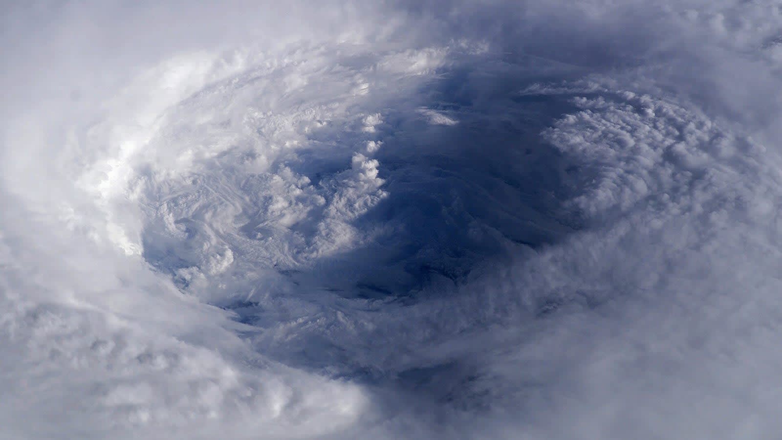 satellite view of a swirling hurricane over the ocean (file image)