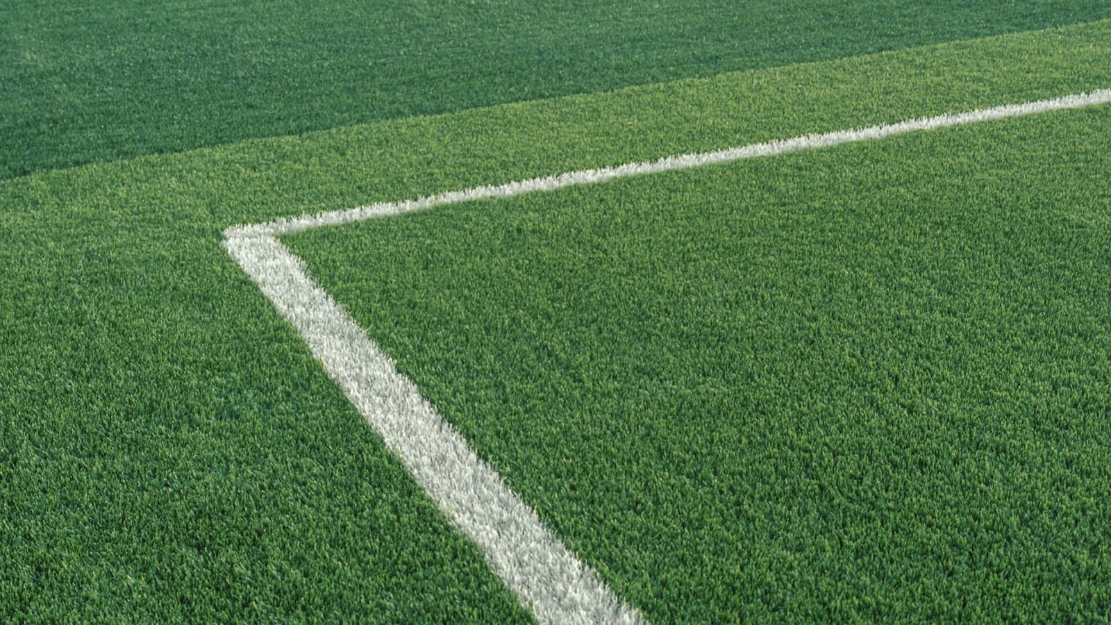 a hockey stadium with artificial turf under bright stadium lights (file image)