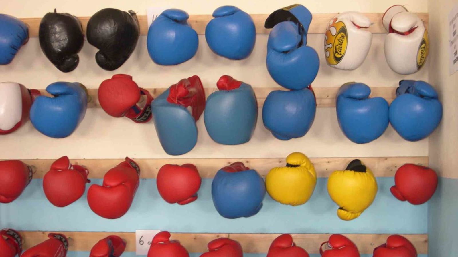 boxing gloves hanging in a traditional gym (file image)