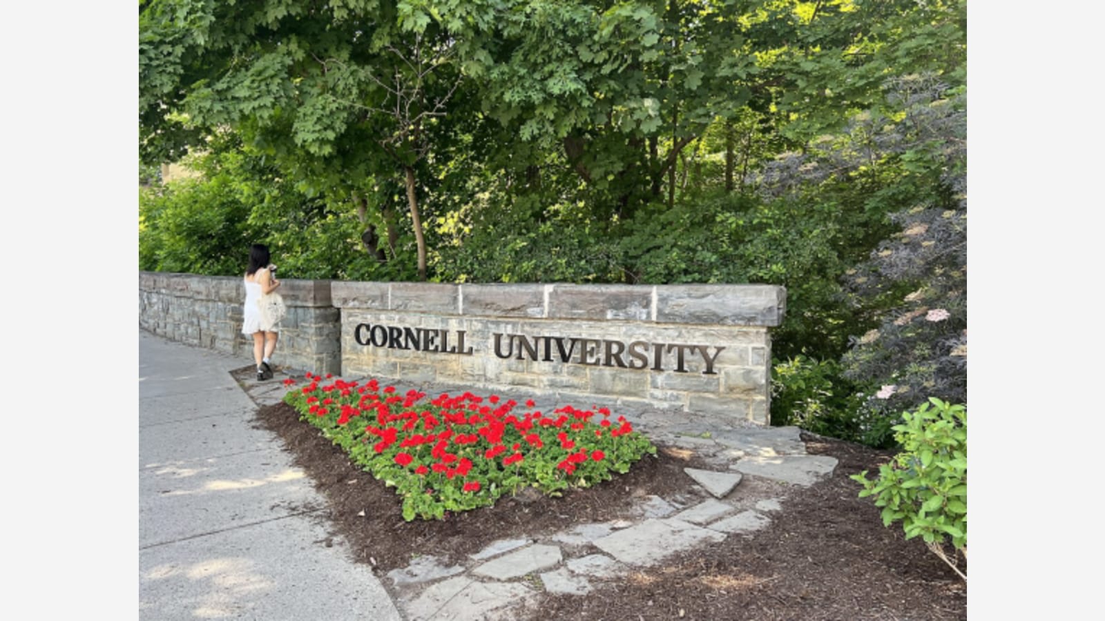 Cornell University logo