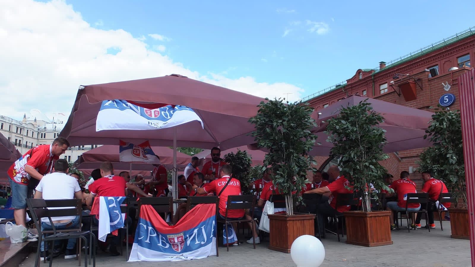 supporters holding serbian flags inside a packed sports arena (file image)