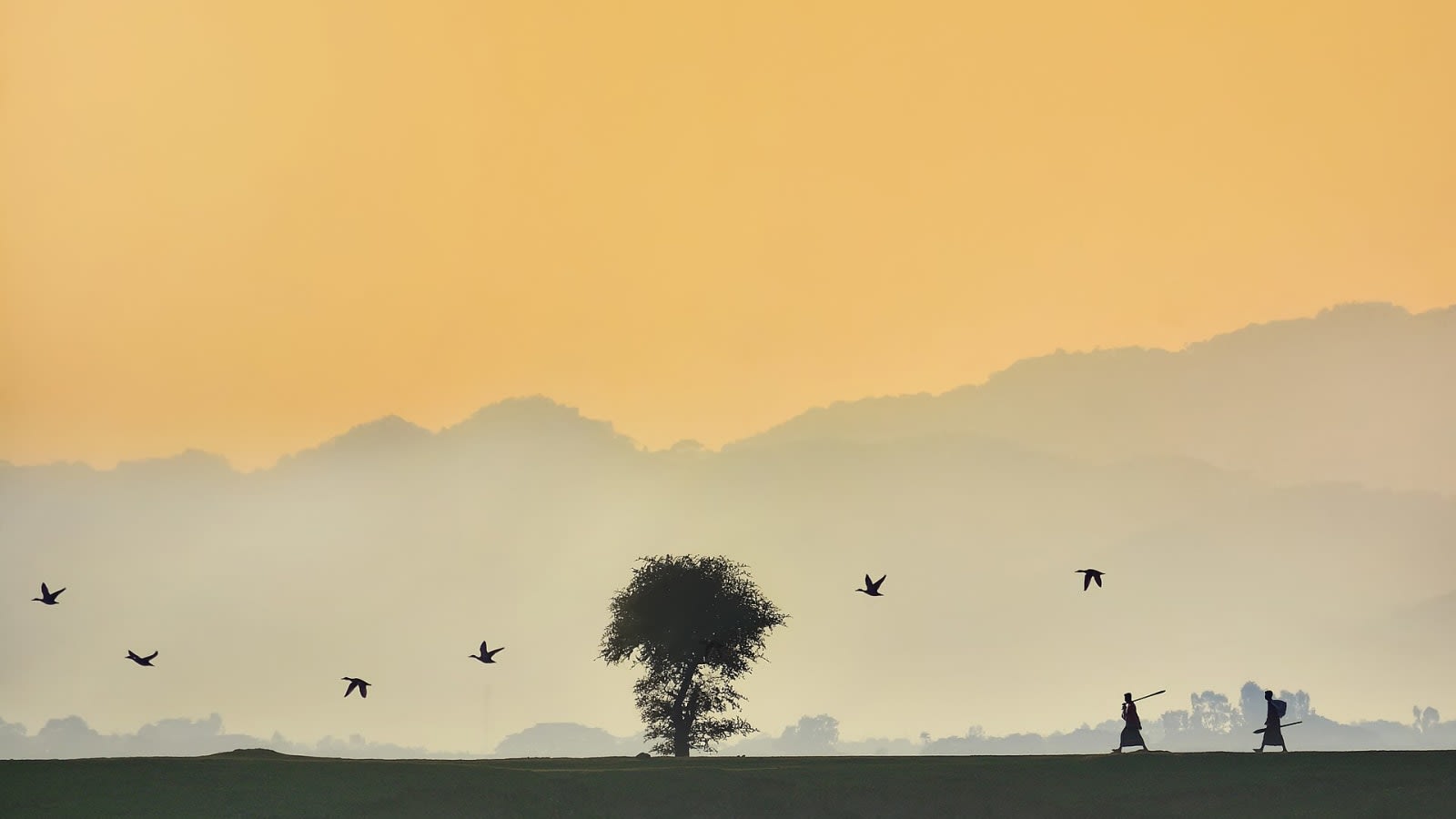 Tanguar haor, Bangladesh 01