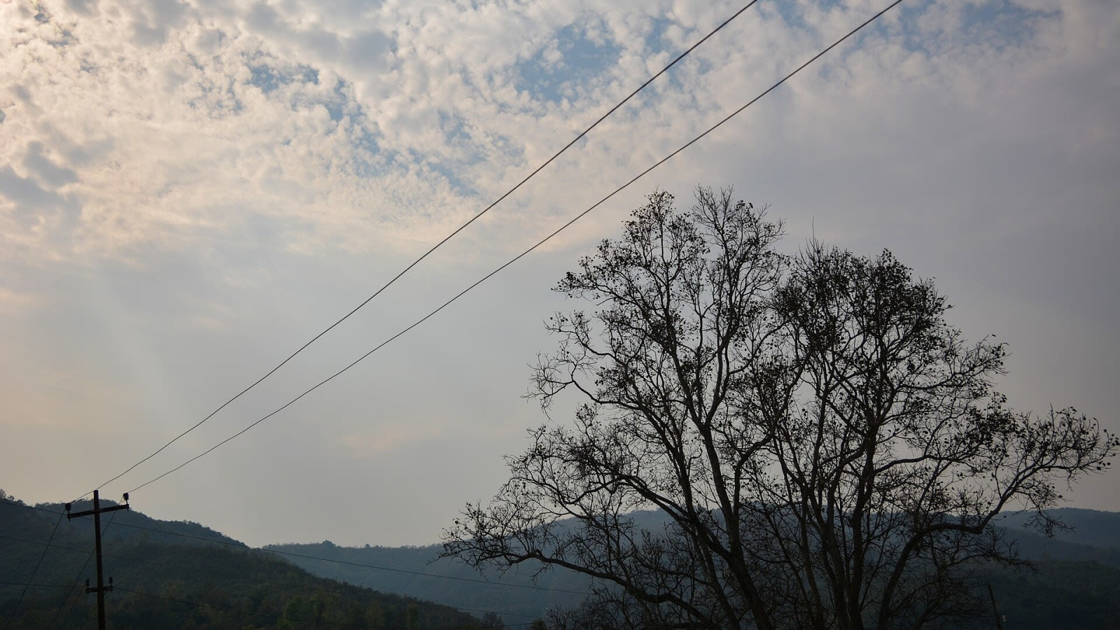 a remote forested area in the hills of northeast india (file image)