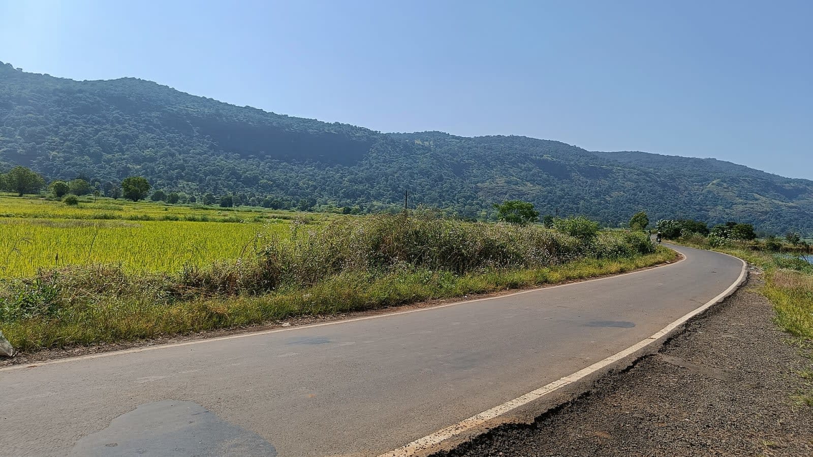 a dry, cracked reservoir bed under a hazy sky in rural maharashtra (file image)