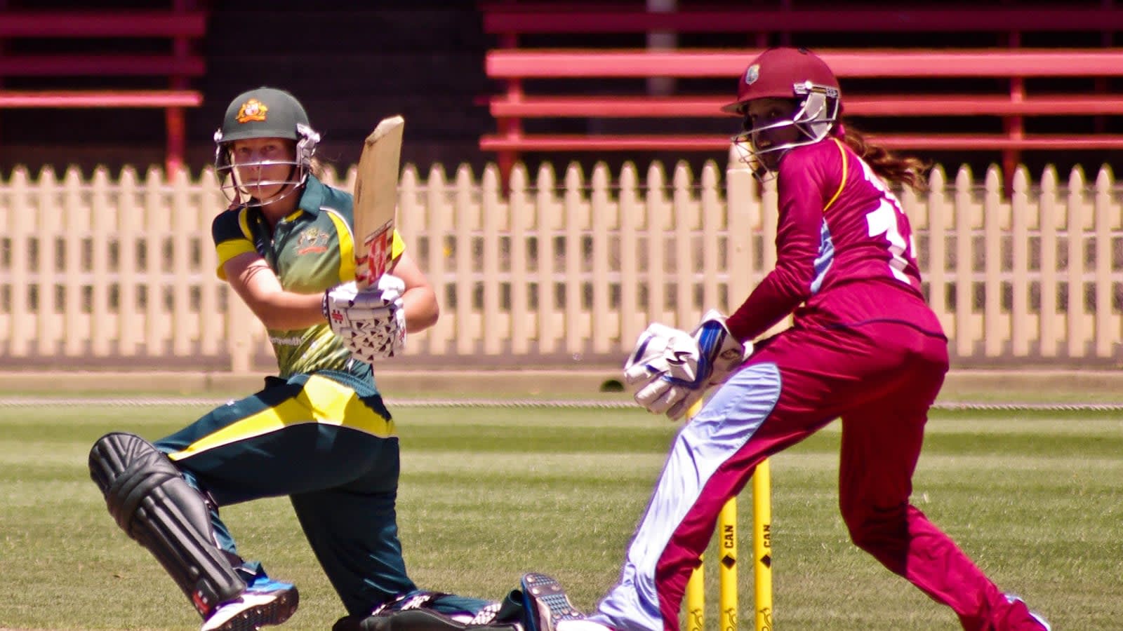 womens cricket match on a sunny day (file image)