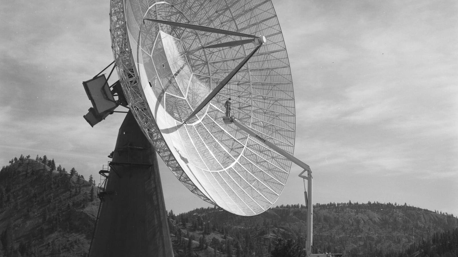 dish antenna of a radio telescope pointing at the night sky (file image)