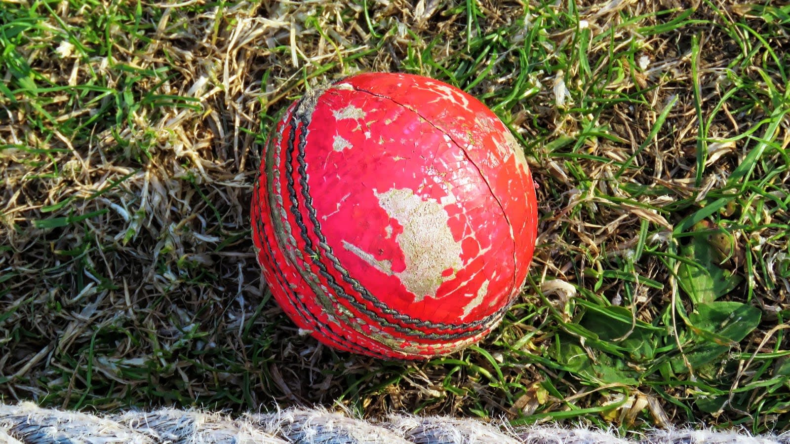empty cricket stadium with boundary ropes (file image)